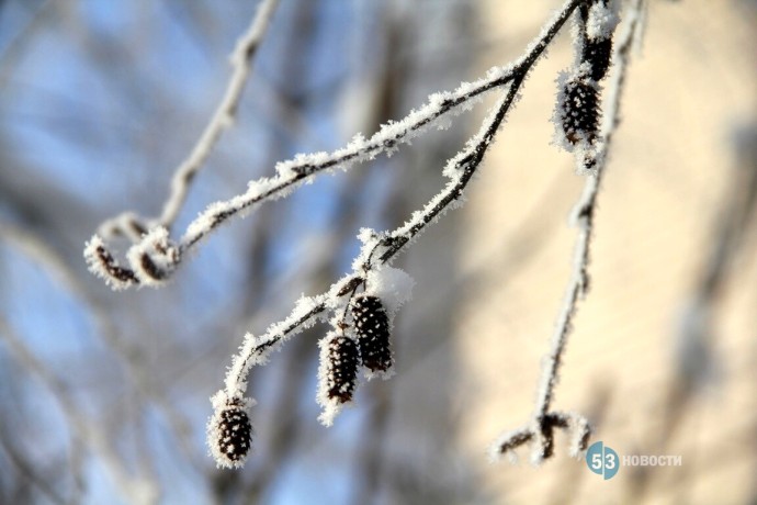 Снег отменяется. Неожиданный прогноз погоды на декабрь