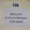 Заболеваемость чесоткой в Приамурье снизилась на 35 процентов