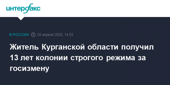 Житель Курганской области получил 13 лет колонии строгого режима за госизмену