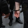 В Подмосковье задержали мужчину за кражу девяти икон