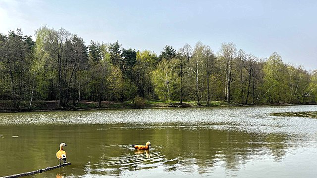 Стартовал всероссийский экологический конкурс "Зеленый Зачет" Стартовал всероссийский экологический конкурс "Зеленый Зачет"