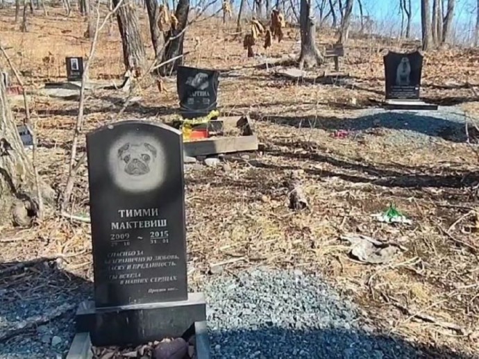 Кладбищем домашних животных в Приморье заинтересовалась прокуратура