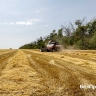 В Белгородской области убрали уже более 20 % зерновых и зернобобовых