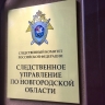 Выясняются обстоятельства гибели подростка в озере Велье Демянского округа