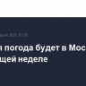 Майская погода будет в Москве на следующей неделе
