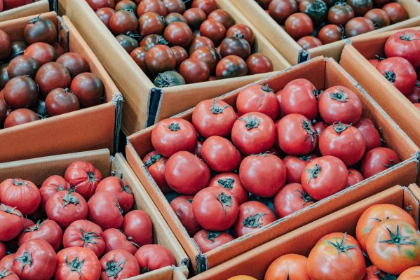 Не только помидоры: что Азербайджан еще продает России Не только помидоры: что Азербайджан еще продает России