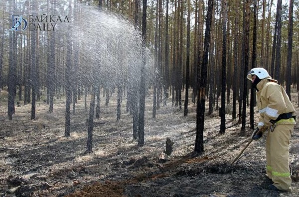 Лесные пожары в Бурятии тушат более 700 человек