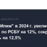 Группа "Илим" в 2024 г. увеличила выручку по РСБУ на 12%, сократила прибыль на 12,5%