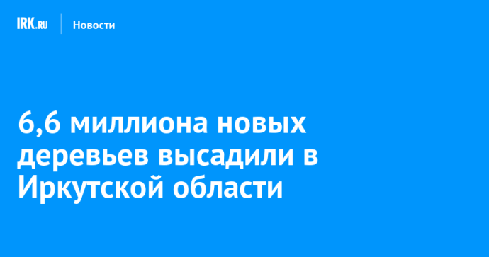 6,6 миллиона деревьев высадили в Иркутской области 6,6 миллиона деревьев высадили в Иркутской области
