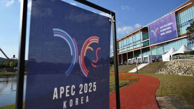 В декларацию АТЭС пытались протащить тему Украины, сообщил источник