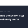Возгорание сухостоя под Феодосией потушили