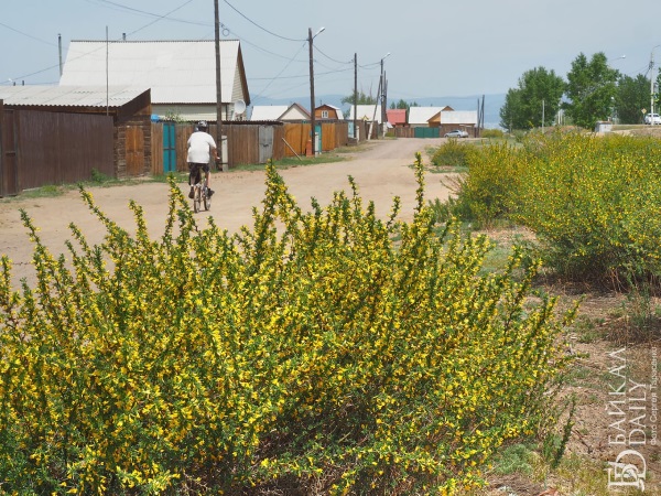 Частные дома в Бурятии продолжают упорно дорожать