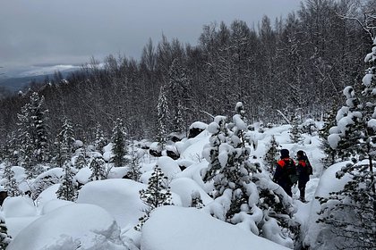 Поиски пропавшей в Красноярске семьи завершены