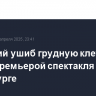 Боярский ушиб грудную клетку перед премьерой спектакля в Петербурге