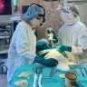 В Приамурье врач спасла женщину со страшным ножевым ранением горла