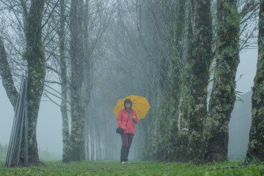 Германия — Флирт был коротким. Теперь — холодный расчет