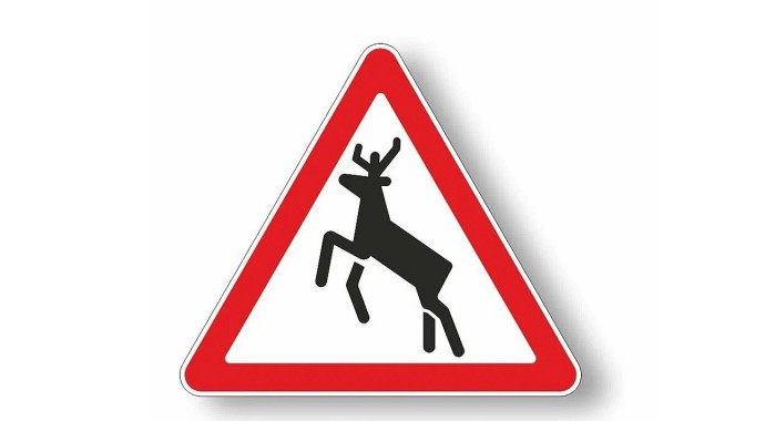 В ДТП с лосем в Богородицком районе пострадали мужчина и двое детей В ДТП с лосем в Богородицком районе пострадали мужчина и двое детей