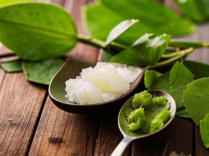 Сладкая ловушка. Полезнее ли сахара его популярные искусственные и природные аналоги