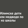 В Усть-Илимске дети встретили медведя по дороге из школы