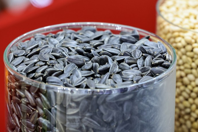 Минсельхоз: более 67% семян в России – отечественного производства Минсельхоз: более 67% семян в России – отечественного производства