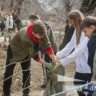 Благовещенцы выйдут на общегородской субботник