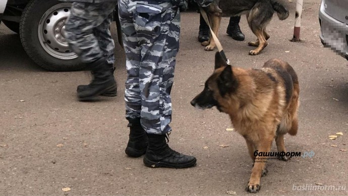 В Мордовии найден скелет пропавшей женщины