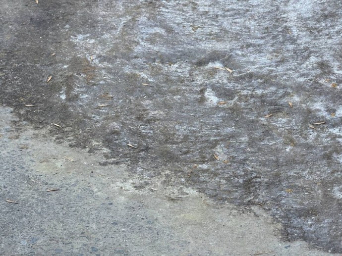 Северный циклон принесет похолодание в Пензенскую область