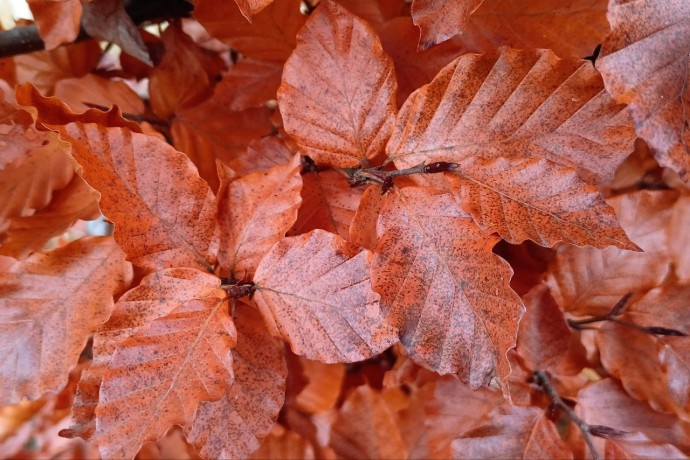 В среду в Пензенской области потеплеет и пройдут небольшие дожди В среду в Пензенской области потеплеет и пройдут небольшие дожди