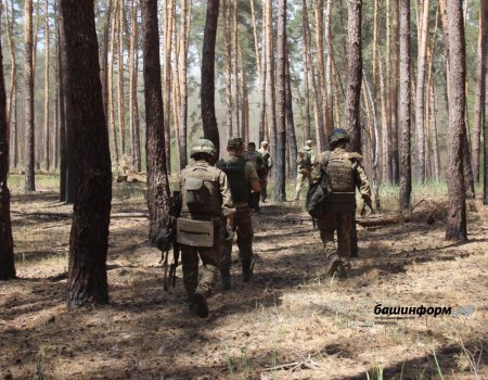 В Башкирии разъяснили, как получить статус участника СВО
