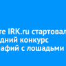 На сайте IRK.ru стартовал новогодний конкурс фотографий с лошадьми