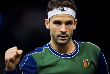 Димитров пробился во второй круг турнира в Париже, где может сыграть против Медведева