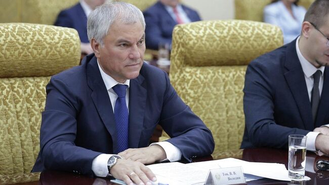 Володин передал Си Цзиньпину теплые добрые пожелания от Путина