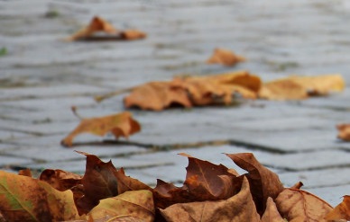 МЧС предупредило жителей Башкирии об усилении ветра МЧС предупредило жителей Башкирии об усилении ветра