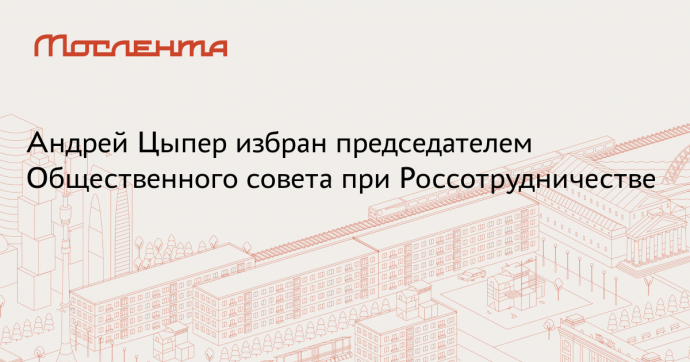 Исполнительный директор по медиа Rambler&Co возглавит работу по поддержке международного сотрудничества