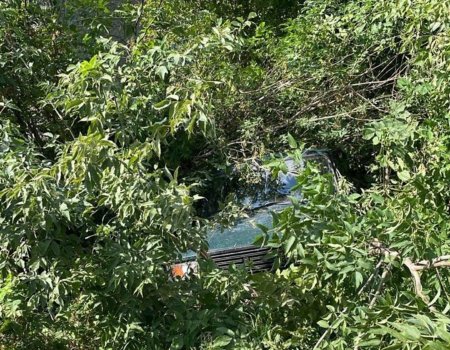 В Башкирии 16-летний студент колледжа разбил угнанную им машину В Башкирии 16-летний студент колледжа разбил угнанную им машину