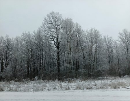 Жители Башкирии еще долго не увидят солнца