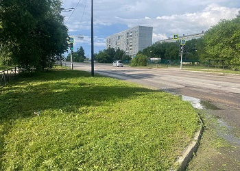 В Благовещенске продолжают покос травы