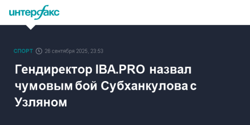 Гендиректор IBA.PRO назвал чумовым бой Субханкулова с Узляном