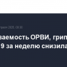 Заболеваемость ОРВИ, гриппом и COVID-19 за неделю снизилась на 9%