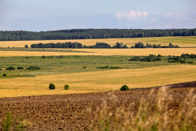 В СФ назвали ключевые проблемы, препятствующие эффективному обороту земель