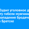 СК возбудил уголовное дело по факту гибели мужчины после нападения бродячих собак в Братске
