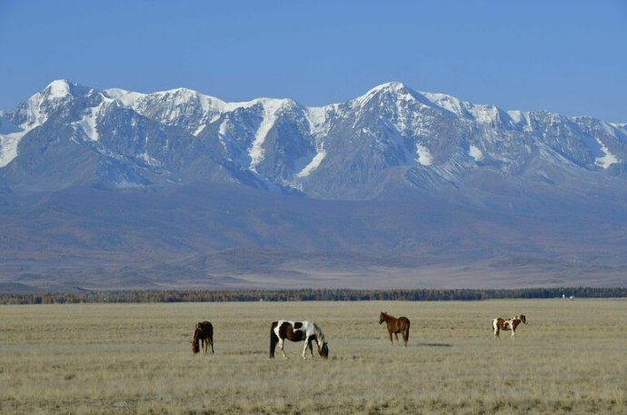 Лучше гор может быть только горный туризм Лучше гор может быть только горный туризм