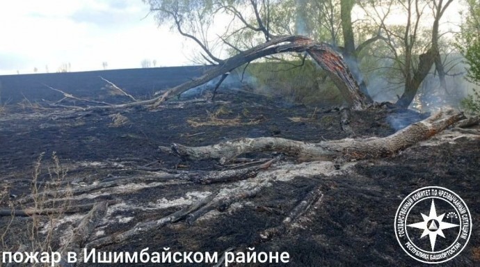 В Башкирии за сутки произошло 16 возгораний сухой растительности