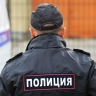 Полиция задержала свыше 30 участников драки у торгового центра в Чехове
