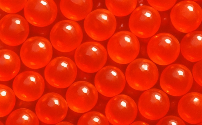 В России прогнозируют рекордный улов красной икры