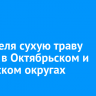 13 апреля сухую траву сожгут в Октябрьском и Ленинском округах