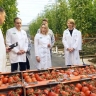 Министр сельского хозяйства России Оксана Лут посетила предприятия Мордовии