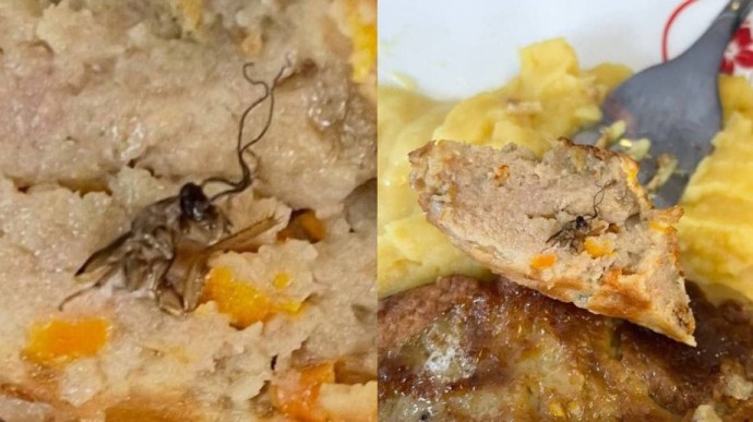 Таракан в котлете: мэрия Владивостока оперативно отреагировала на инцидент в школе №11 Таракан в котлете: мэрия Владивостока оперативно отреагировала на инцидент в школе №11