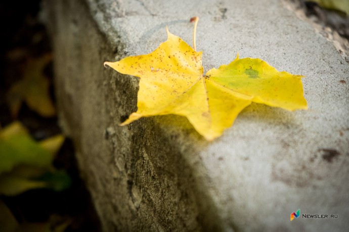 Снег не выпадет в конце сентября Снег не выпадет в конце сентября