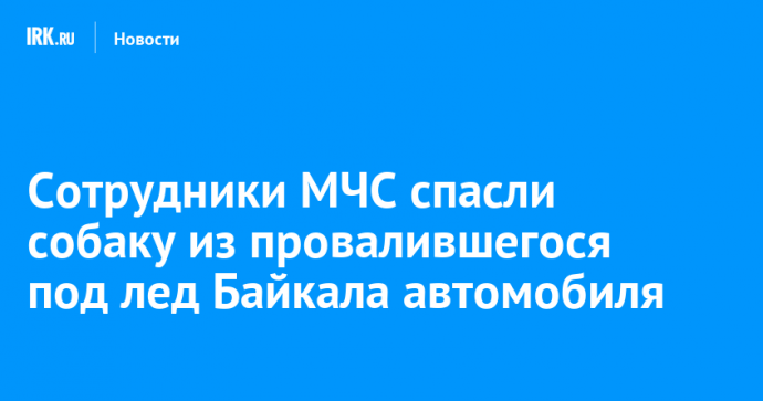 Сотрудники МЧС спасли собаку из провалившегося под лед Байкала автомобиля